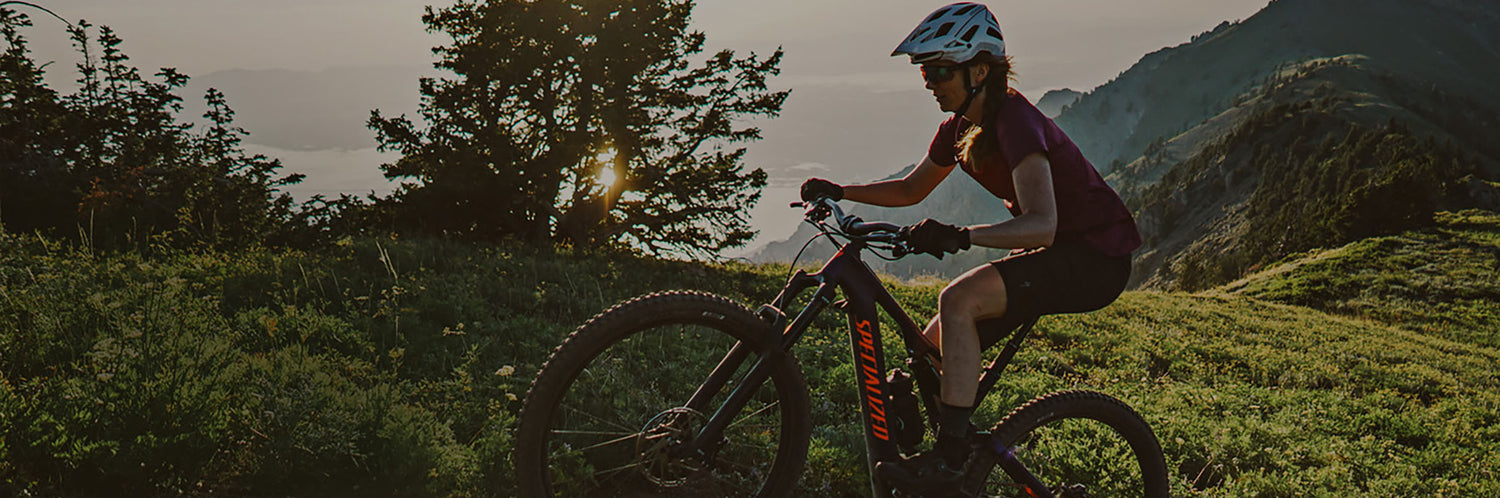 All the E-bikes