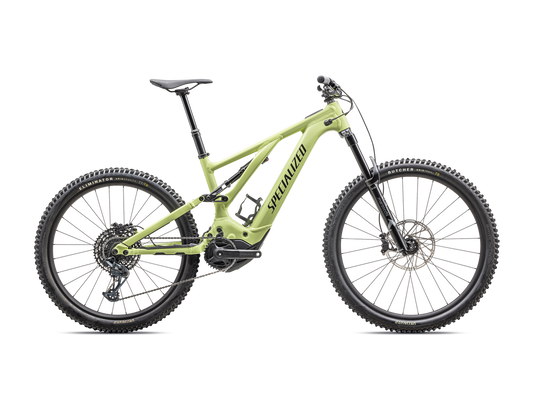 2025 Turbo Levo Alloy
