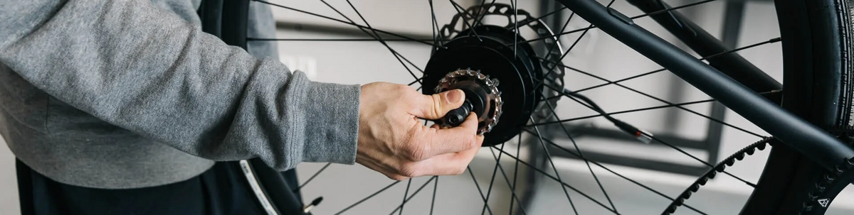 Experienced Bicycle Mechanic