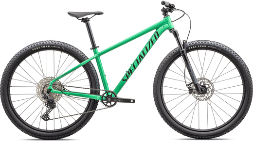 Rockhopper Expert 29