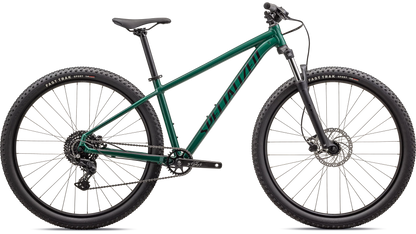 Rockhopper Expert 29