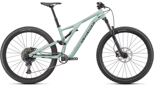 Stumpjumper Alloy