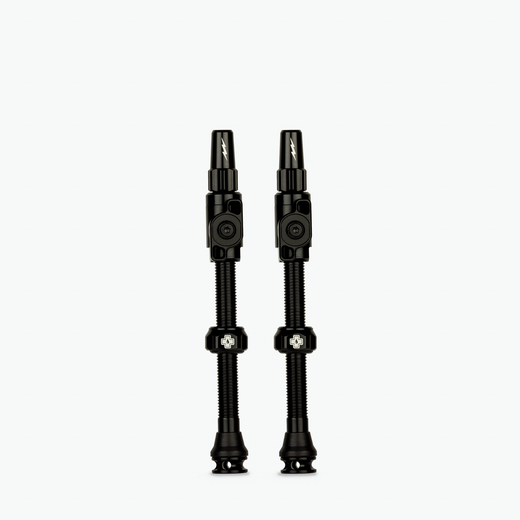 Big Bore Lite Tubeless Valves
