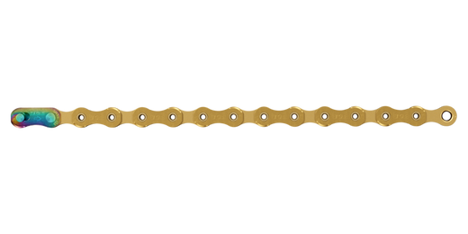 XX1 Eagle Chain